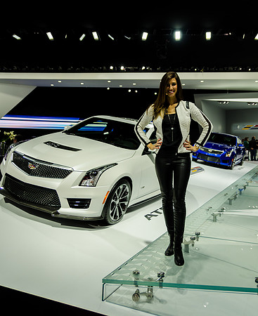 NAIAS 2015