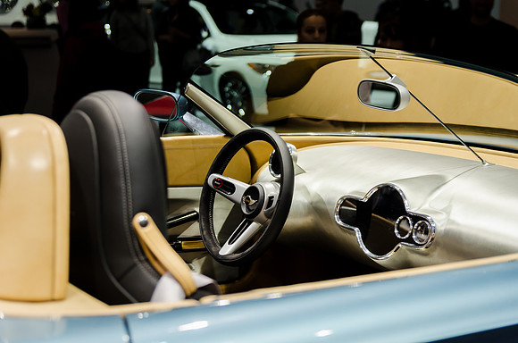 NAIAS 2015