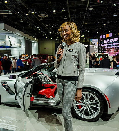 NAIAS 2015
