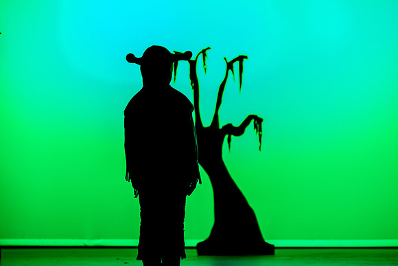 SFHS Shrek The Musical