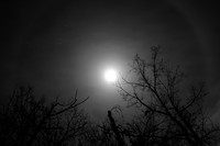 Eerie Moon