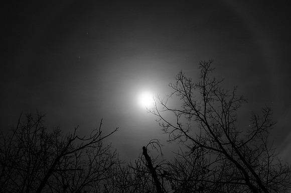 Eerie Moon