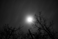 Eerie Moon