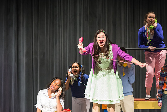 SFHS-Bye Bye Birdie