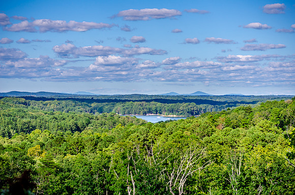 Local Landscapes