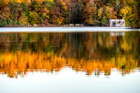 Don Carter Park-Fall Landscape