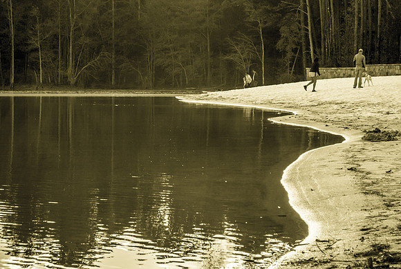 Don Carter Park-Fall Landscape