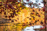 Don Carter Park-Fall Landscape