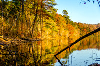 Don Carter Park-Fall Landscape