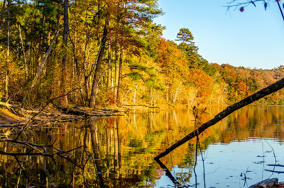 Don Carter Park-Fall Landscape