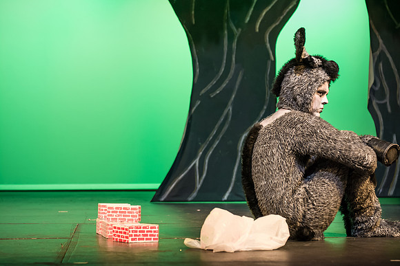 SFHS Shrek The Musical