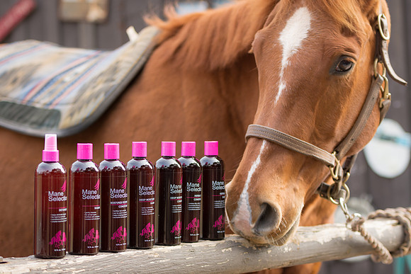 Mane Selection Photo Shoot