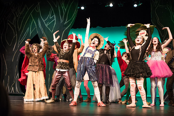 SFHS Shrek The Musical