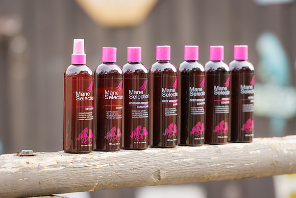 Mane Selection Photo Shoot