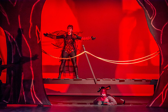 SFHS Shrek The Musical
