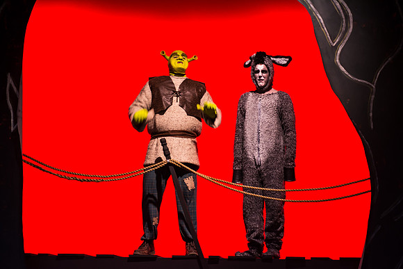 SFHS Shrek The Musical