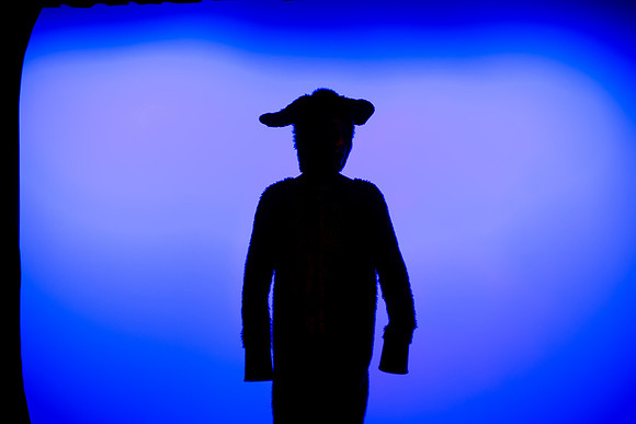 SFHS Shrek The Musical