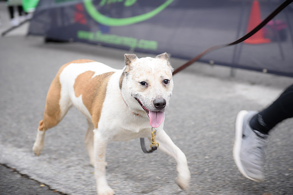 20181027-JonnyandXena5K-1232