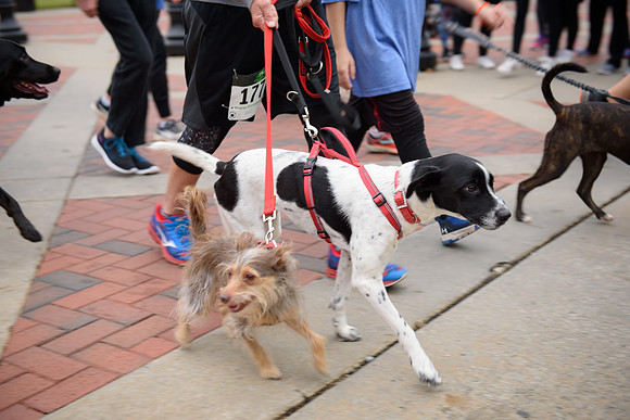 20181027-JonnyandXena5K-1153
