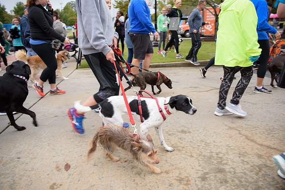 20181027-JonnyandXena5K-1154