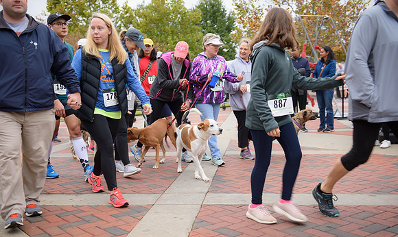 20181027-JonnyandXena5K-1155