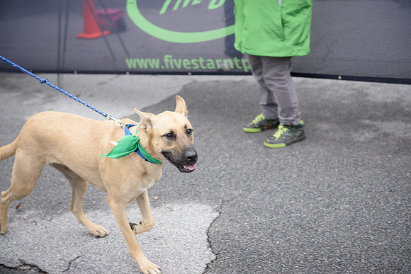 20181027-JonnyandXena5K-1310