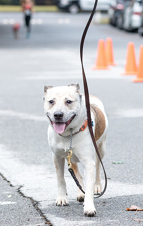20181027-JonnyandXena5K-2005