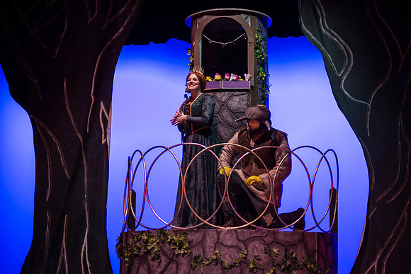 SFHS Shrek The Musical