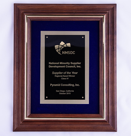 20190509-PyramidAwards-1115