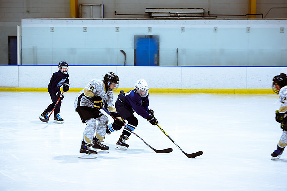 2024 Atlanta Phoenix Hockey