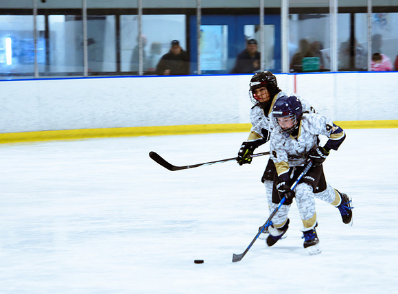 2024 Atlanta Phoenix Hockey
