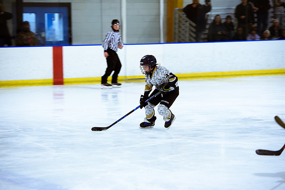 2024 Atlanta Phoenix Hockey