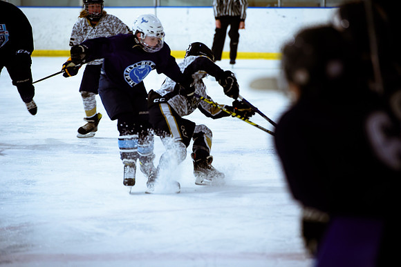 2024 Atlanta Phoenix Hockey