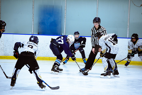 2024 Atlanta Phoenix Hockey