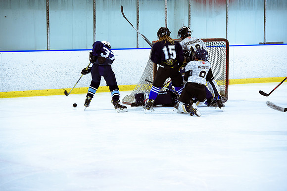 2024 Atlanta Phoenix Hockey