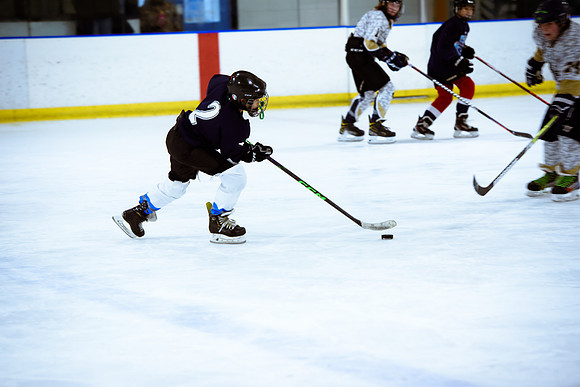 2024 Atlanta Phoenix Hockey
