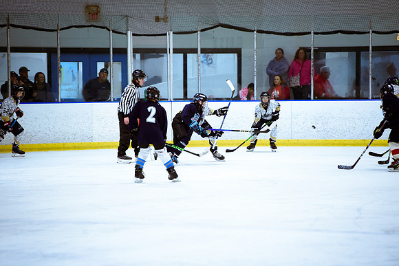 2024 Atlanta Phoenix Hockey