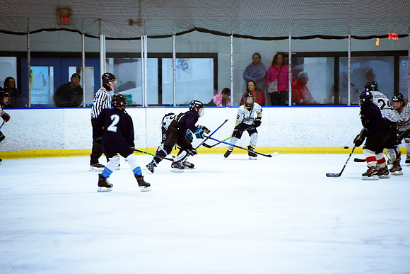 2024 Atlanta Phoenix Hockey
