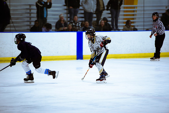 2024 Atlanta Phoenix Hockey