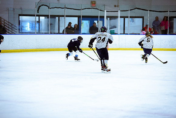 2024 Atlanta Phoenix Hockey