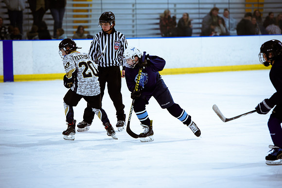 2024 Atlanta Phoenix Hockey