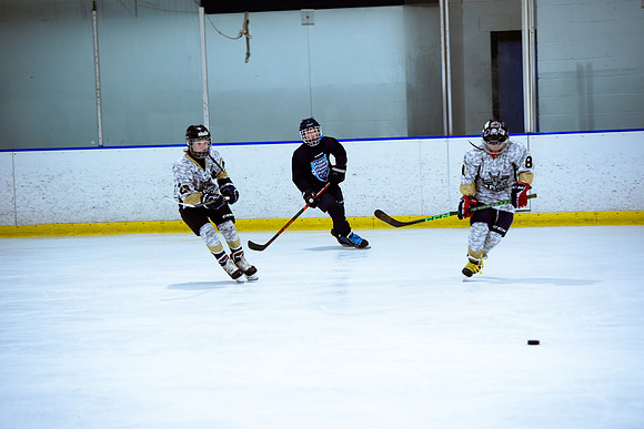 2024 Atlanta Phoenix Hockey