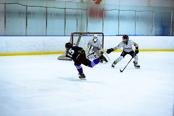 2024 Atlanta Phoenix Hockey