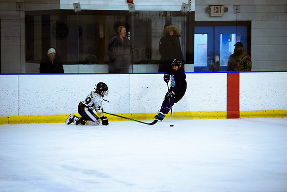 2024 Atlanta Phoenix Hockey