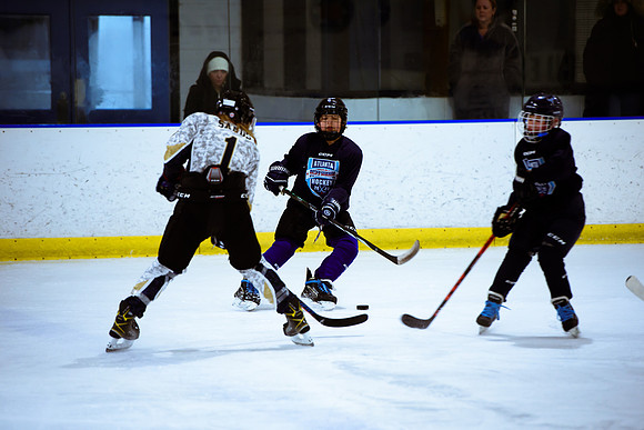 2024 Atlanta Phoenix Hockey