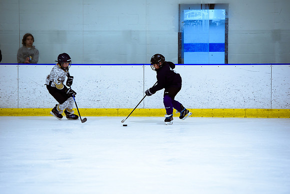 2024 Atlanta Phoenix Hockey