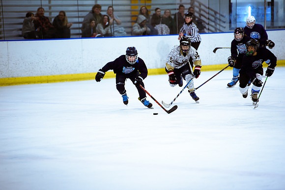 2024 Atlanta Phoenix Hockey