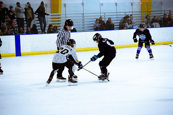 2024 Atlanta Phoenix Hockey