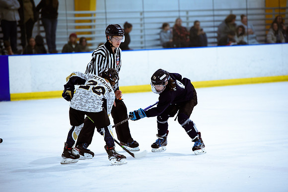 2024 Atlanta Phoenix Hockey