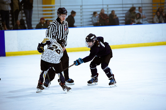 2024 Atlanta Phoenix Hockey